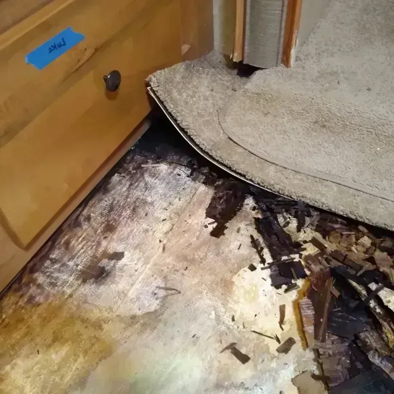 Wood Floor Water Damage in Kirkland, WA